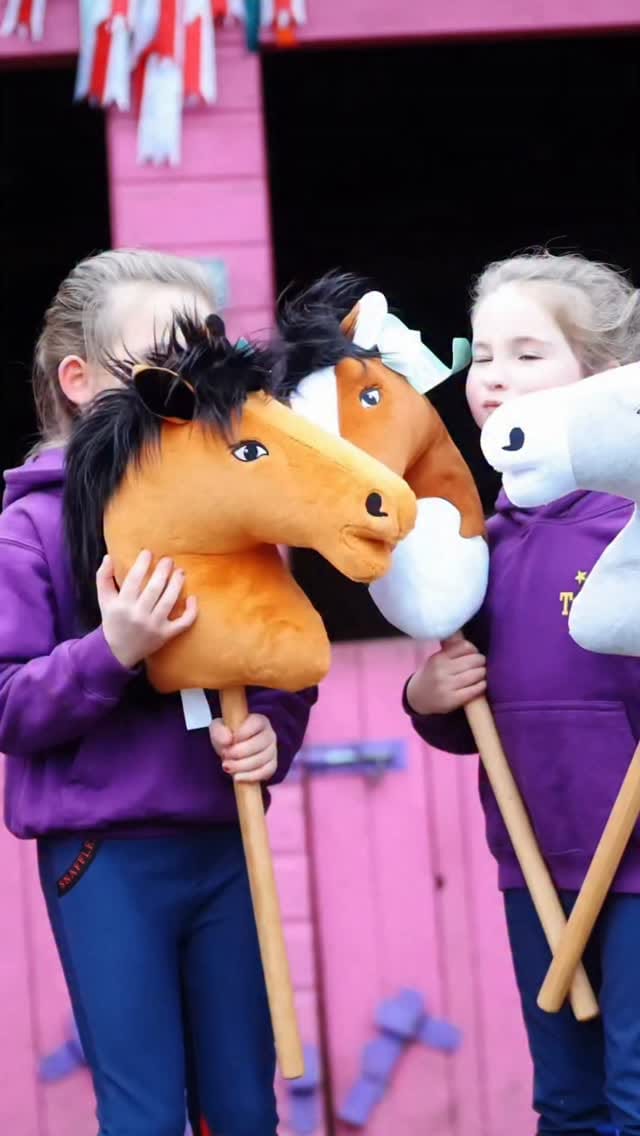 Post 2 by Hy Equestrian on Instagram (video)
