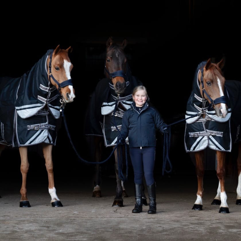 Post 4 by Hy Equestrian on Instagram (image)