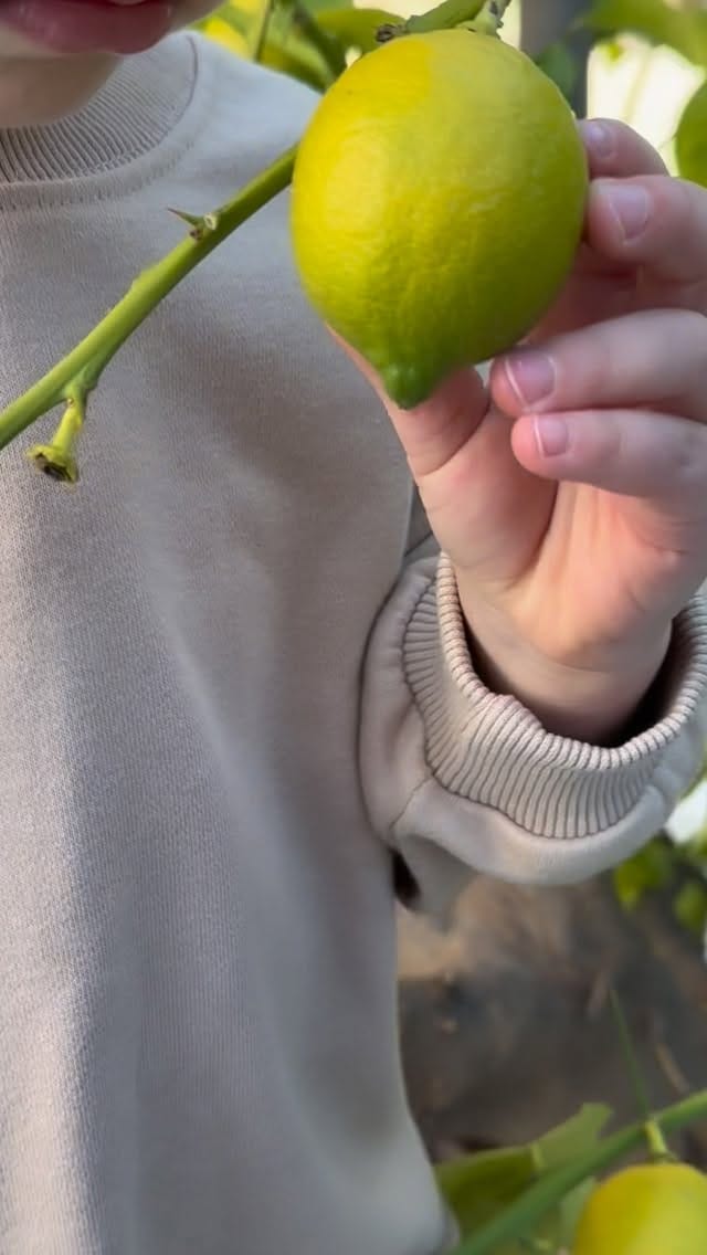 Post 5 by MARKLIEN | Baby Neutrals on Instagram (video)