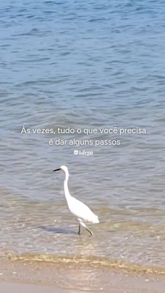 Post 6 by Delicatessen 🥂 | Vinhos 🍷| Bombinhas _ SC on Instagram (video)