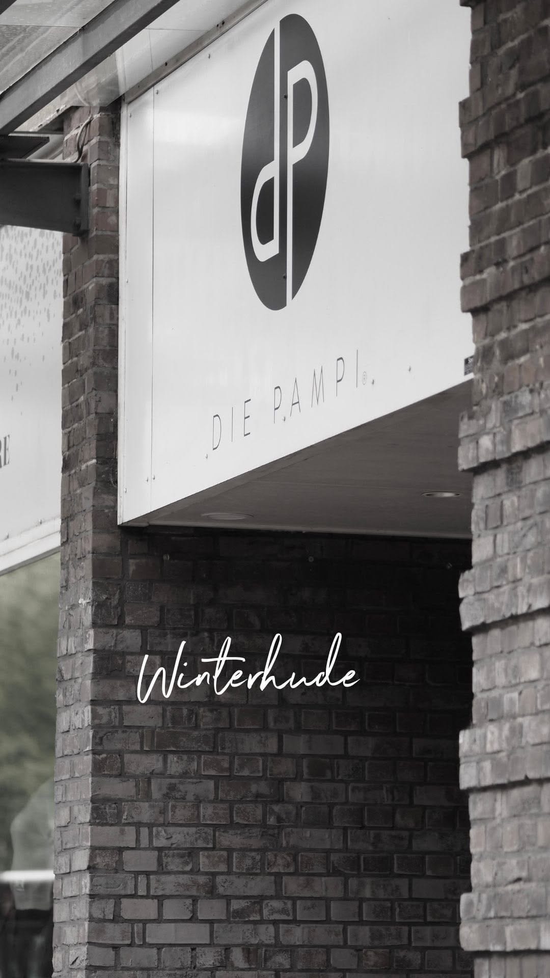Post 7 by Die Pampi on Instagram (video)