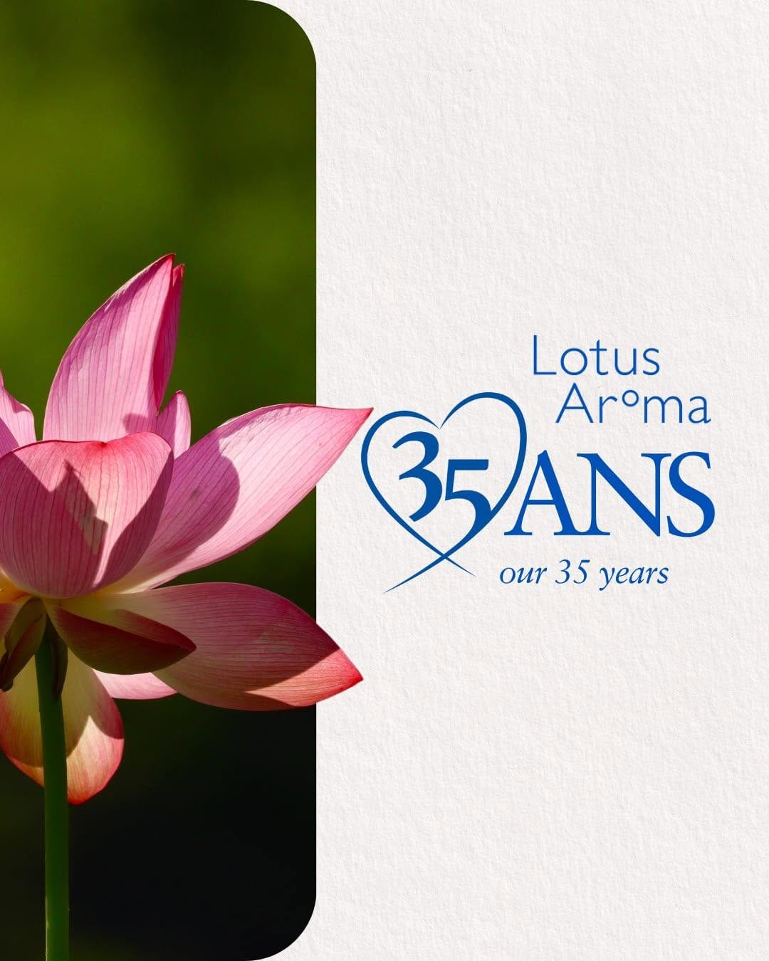 Post 1 by Lotus Aroma on Instagram (carousel)