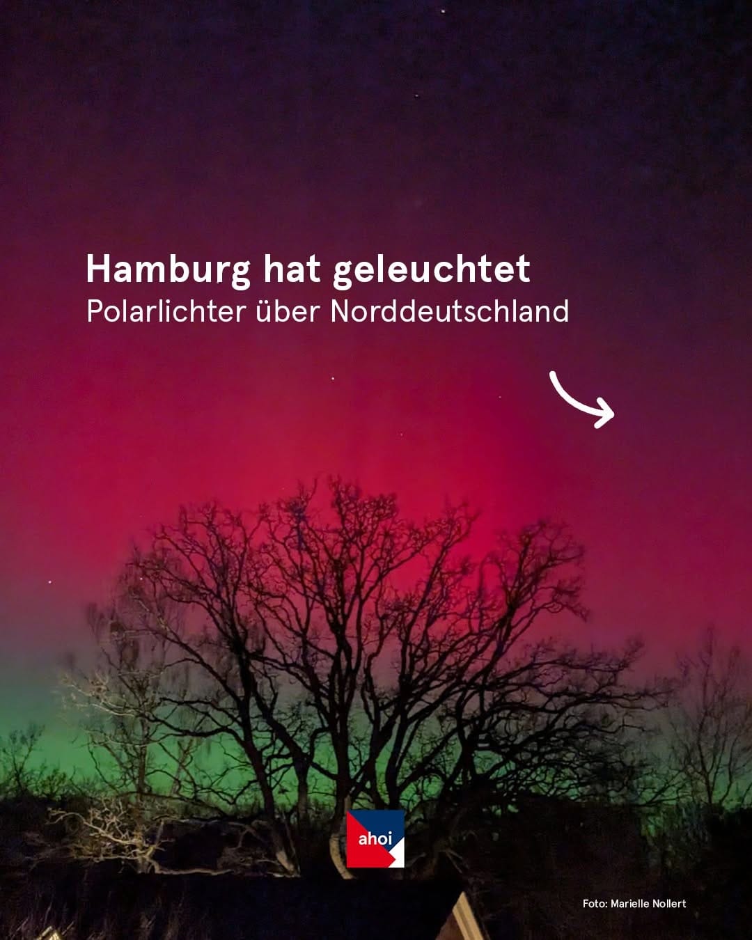 Post 2 by hamburg ahoi on Instagram (carousel)