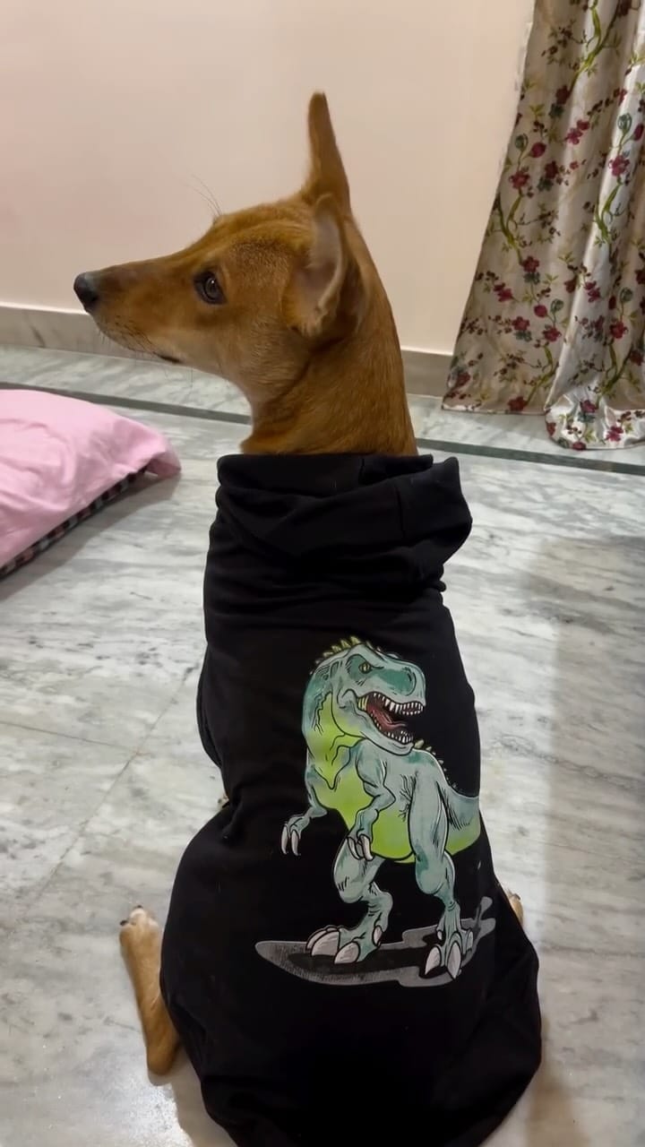 Post 3 by Petsnugs® on Instagram (video)