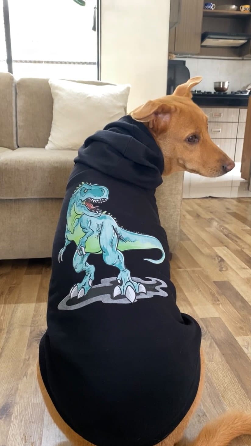 Post 10 by Petsnugs® on Instagram (video)