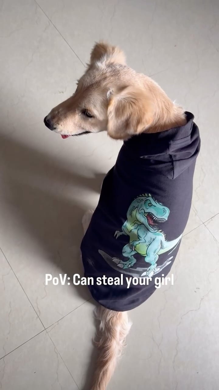 Post 7 by Petsnugs® on Instagram (video)