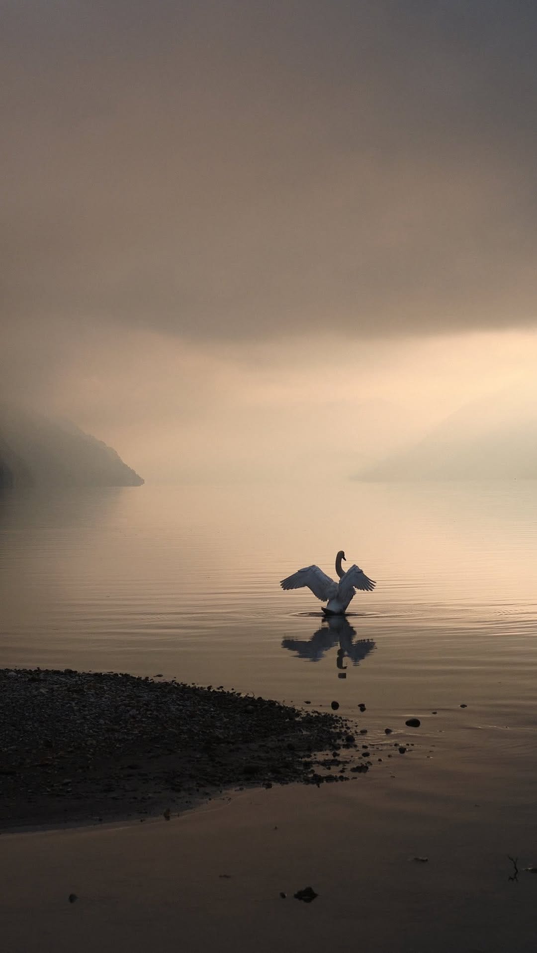 Post 4 by Hannibal. on Instagram (video)