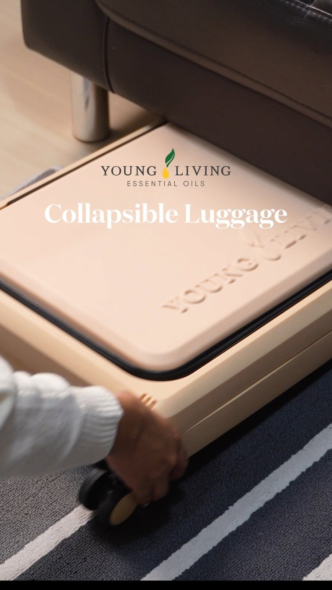Post 9 by Young Living Singapore on Instagram (video)