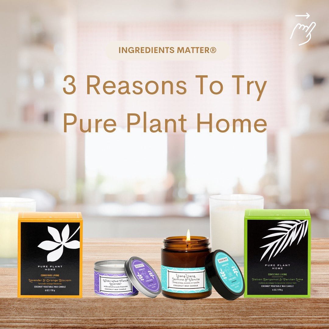 Post 9 by Pure Plant Home on Instagram (carousel)