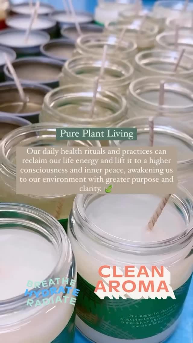 Post 2 by Pure Plant Home on Instagram (video)