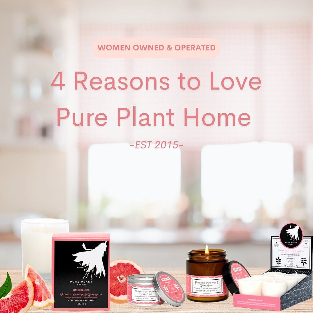 Post 10 by Pure Plant Home on Instagram (carousel)