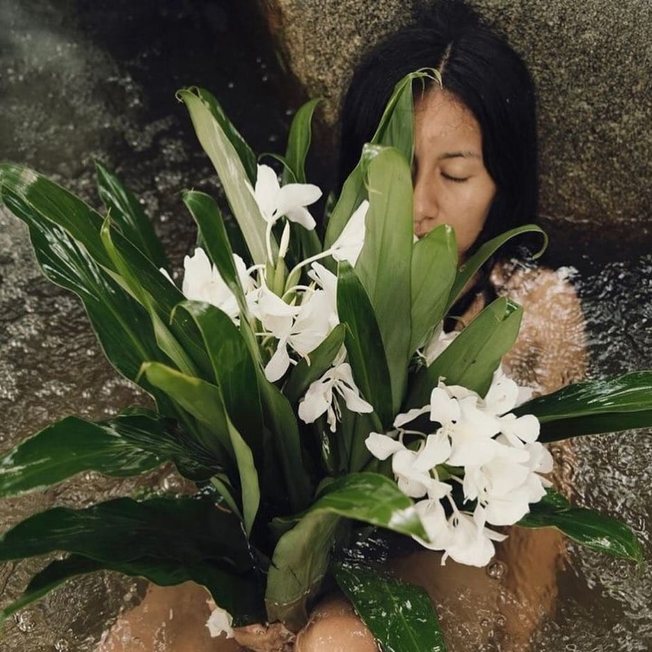 Post 10 by Brown Bear Herbs on Instagram (carousel)
