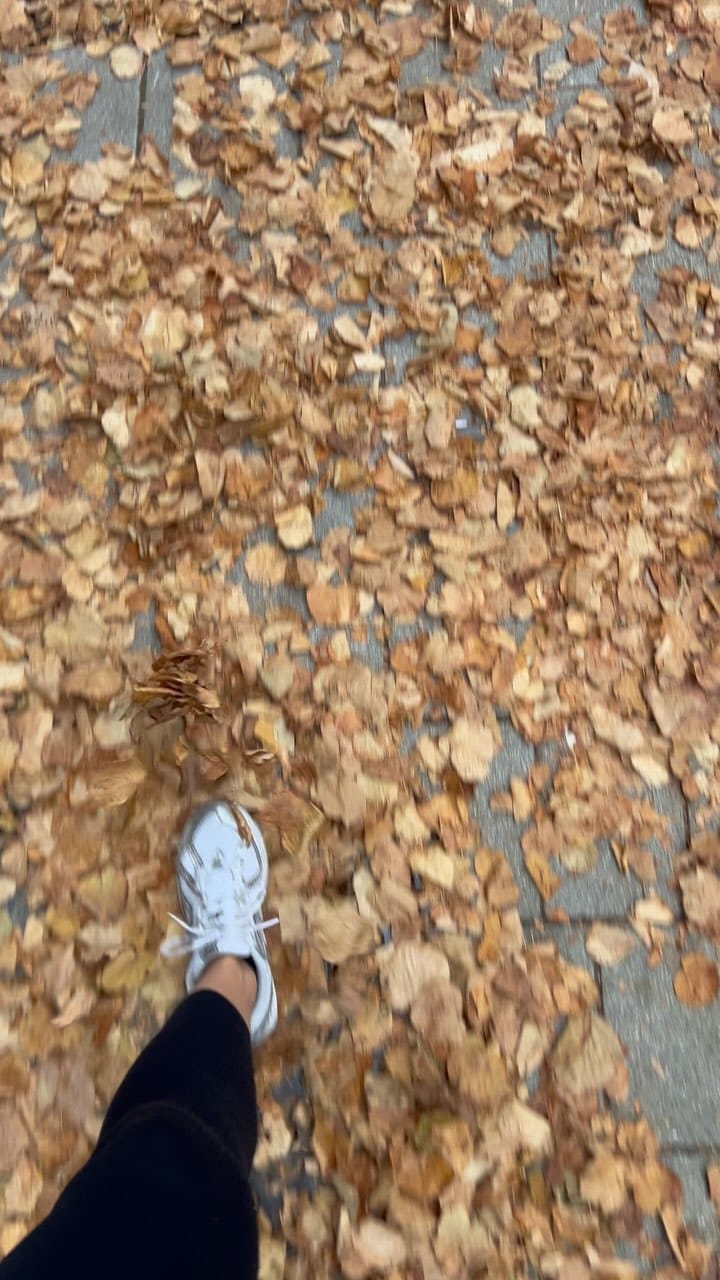 Post 10 by Katerina Urdova on Instagram (video)