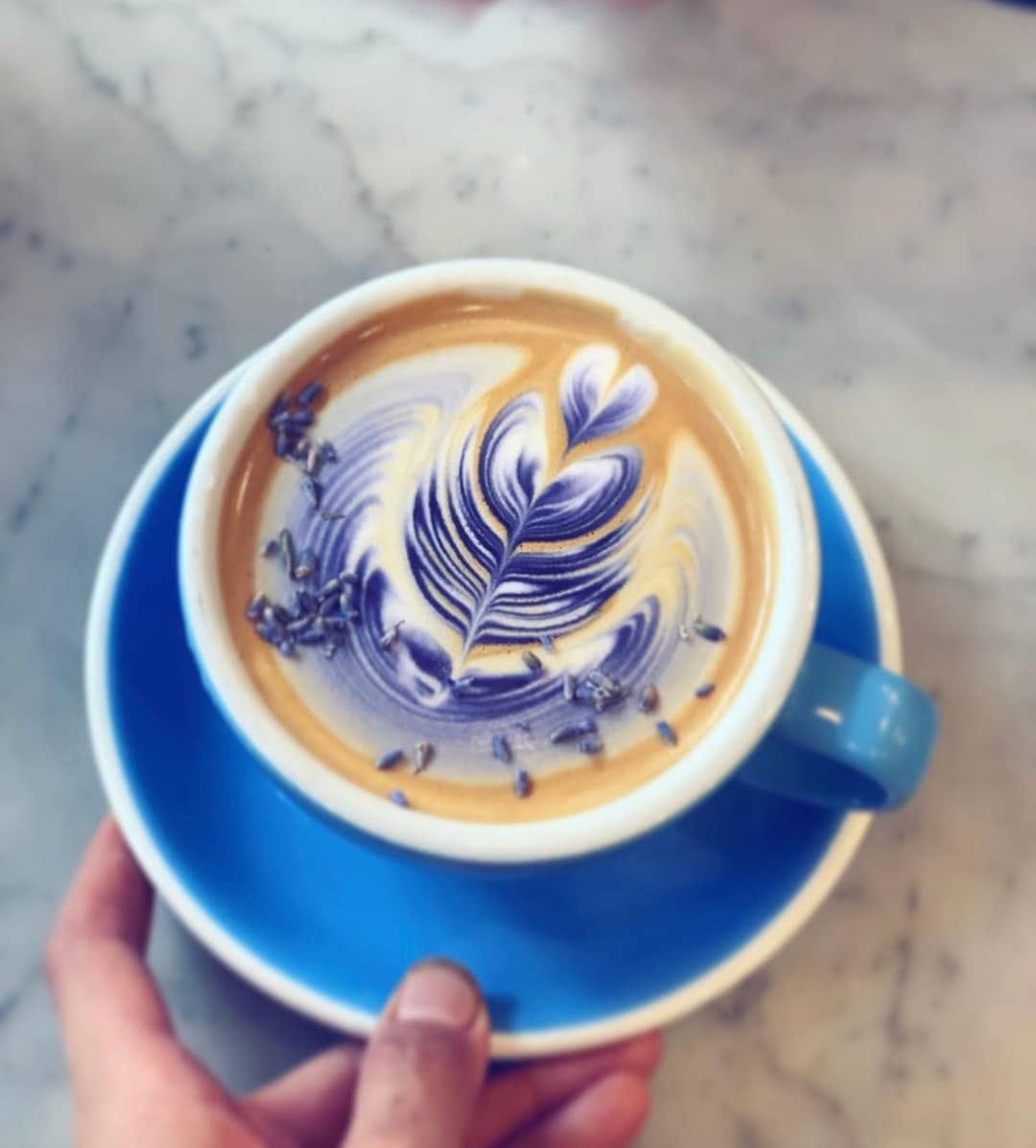Post 6 by Black Fuel Trading Co. on Instagram (image)