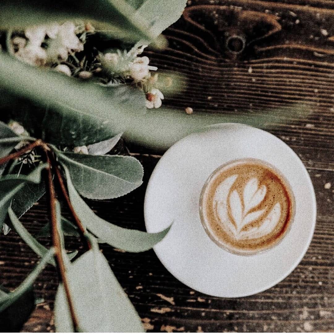 Post 3 by Black Fuel Trading Co. on Instagram (image)