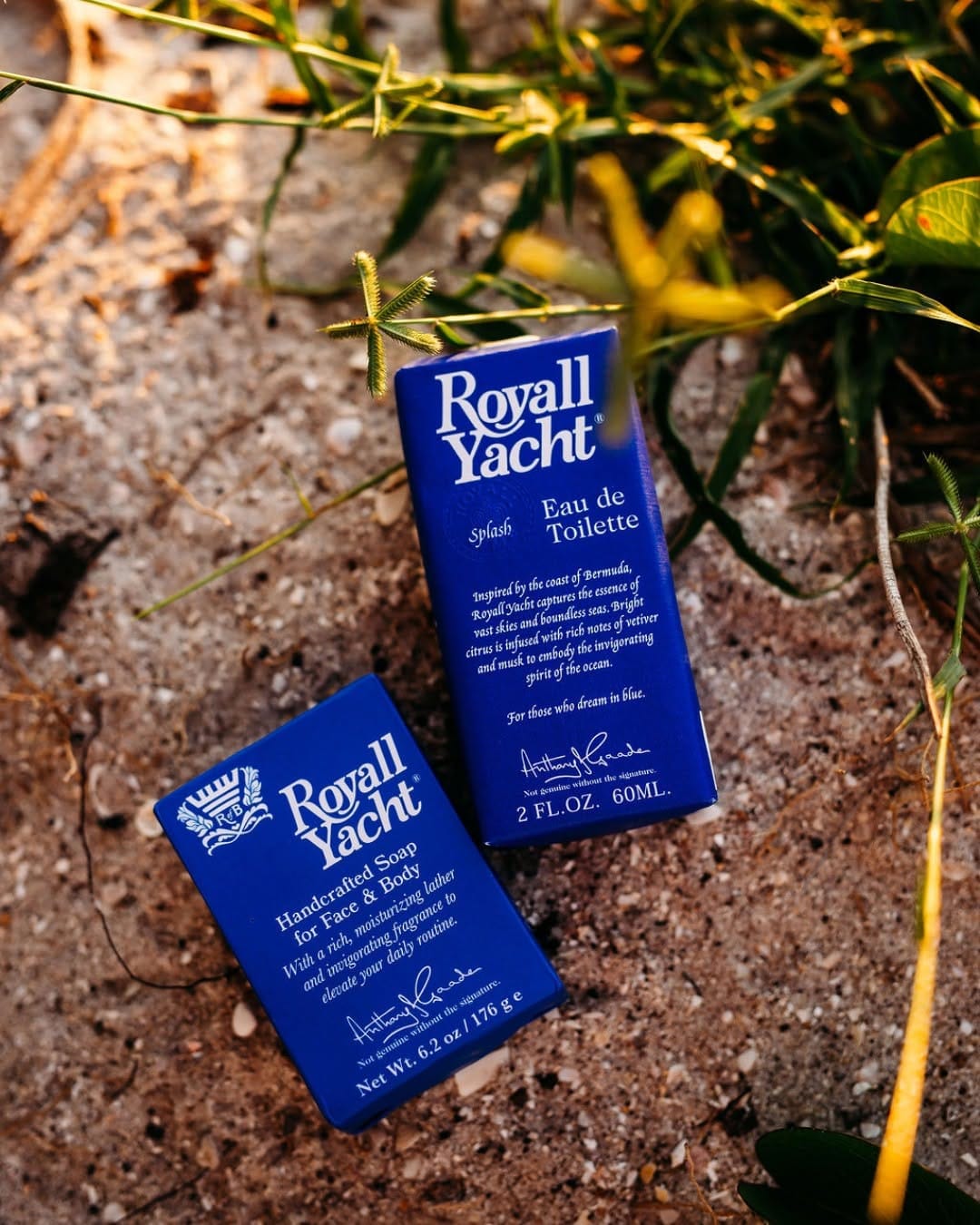 Post 1 by Royall Lyme Of Bermuda on Instagram (image)