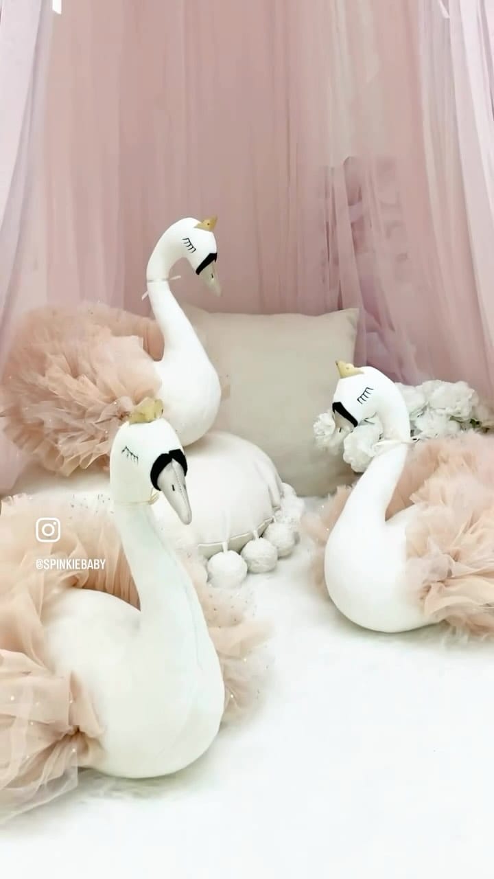 Post 4 by Catchu on Instagram (video)