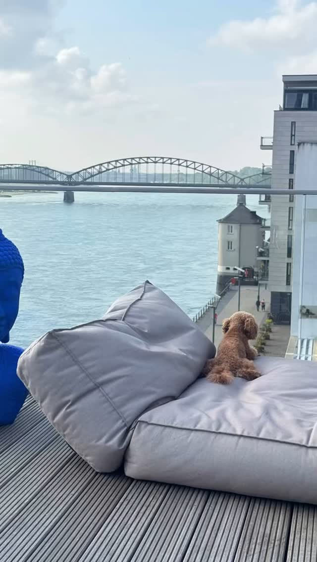 Post 10 by Anna Wi on Instagram (video)