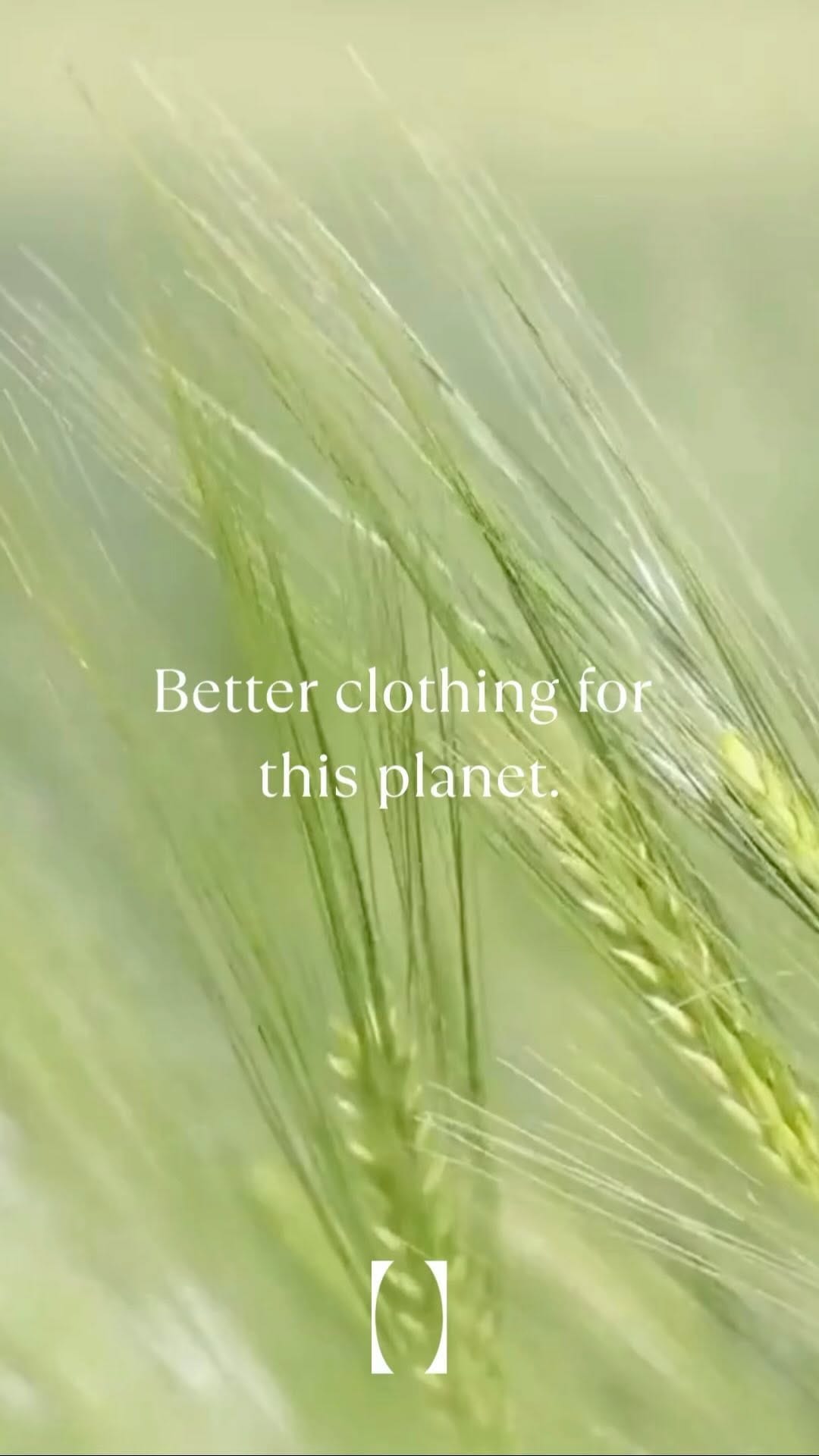 Post 10 by Subset on Instagram (video)