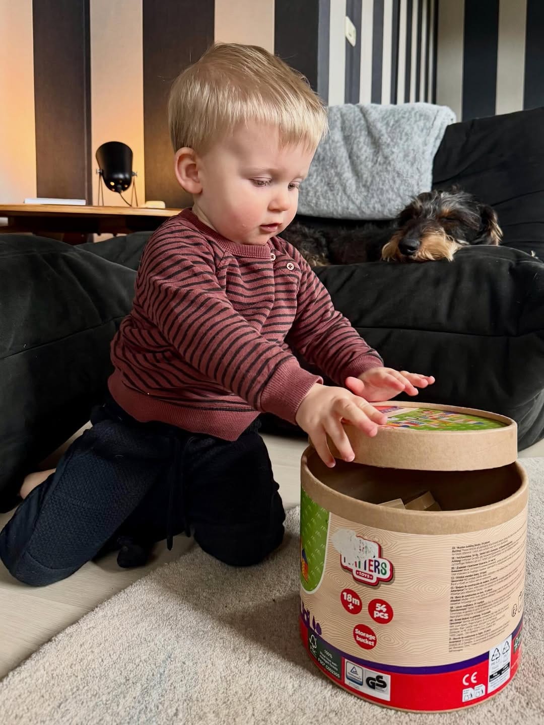 Post 4 by Donny & Dibby Dogstuff on Instagram (image)