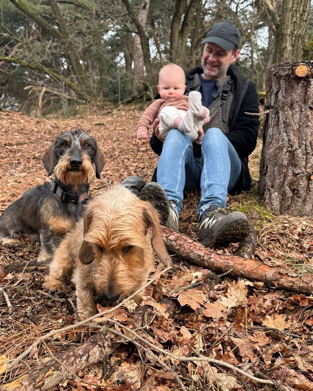 Post 9 by Donny & Dibby Dogstuff on Instagram (image)