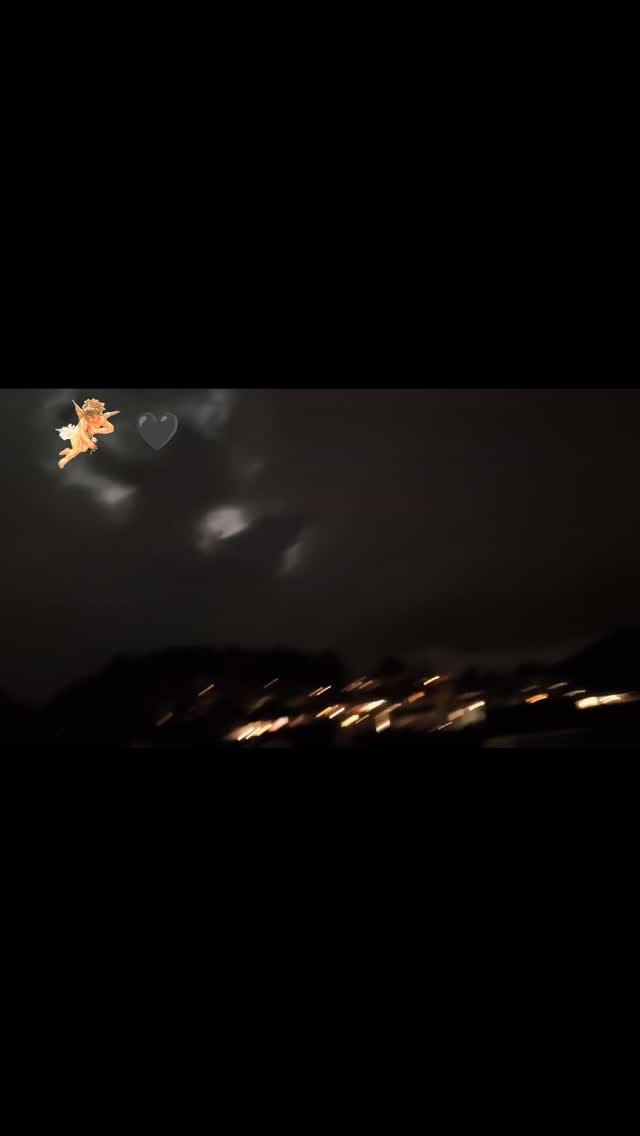 Post 2 by Gabriela Dirk on Instagram (video)