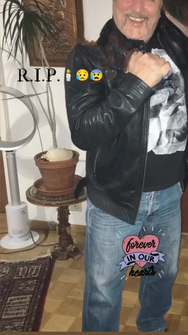 Post 3 by Gabriela Dirk on Instagram (video)