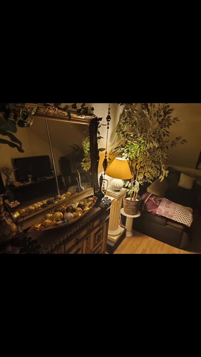 Post 8 by Gabriela Dirk on Instagram (video)