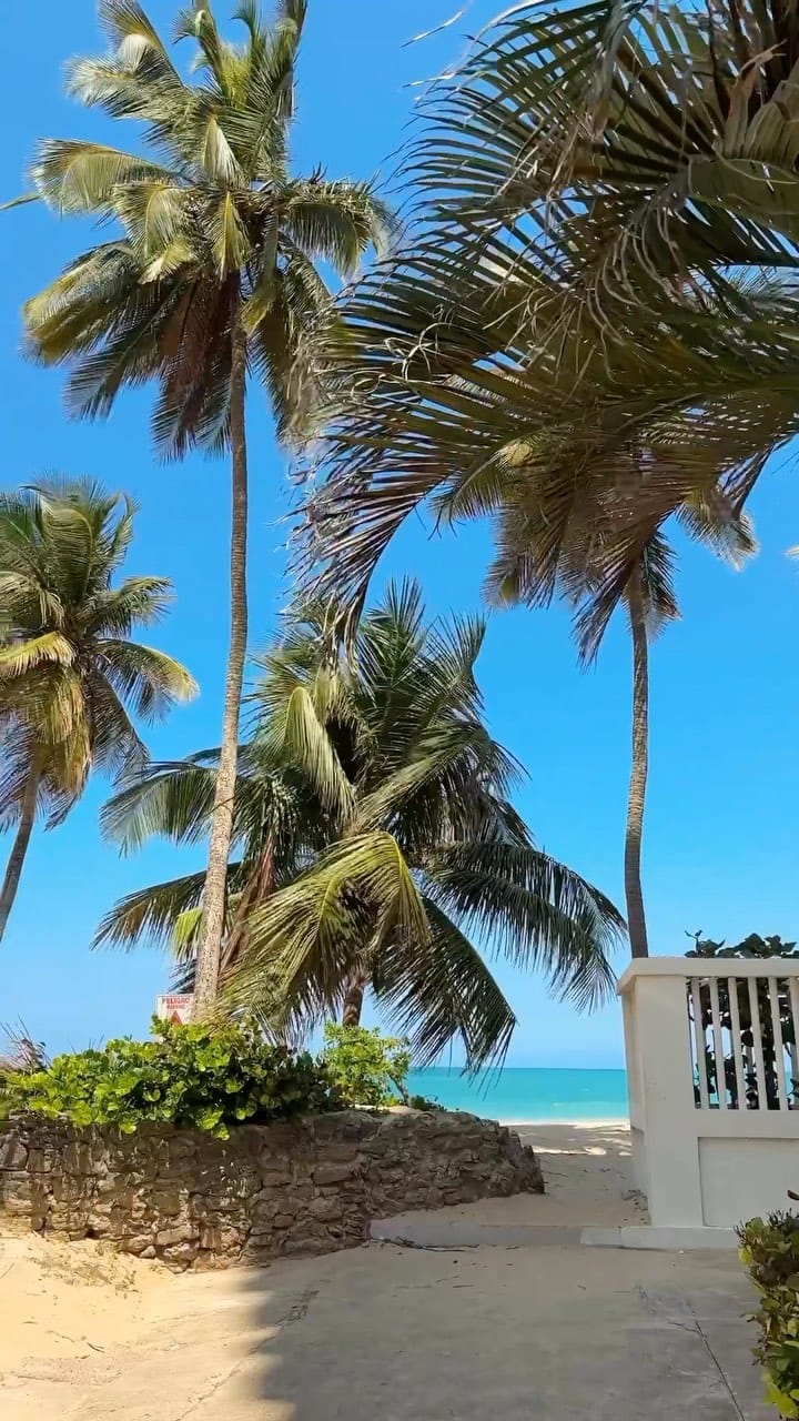 Post 5 by Hilda Dias Pimentel on Instagram (video)