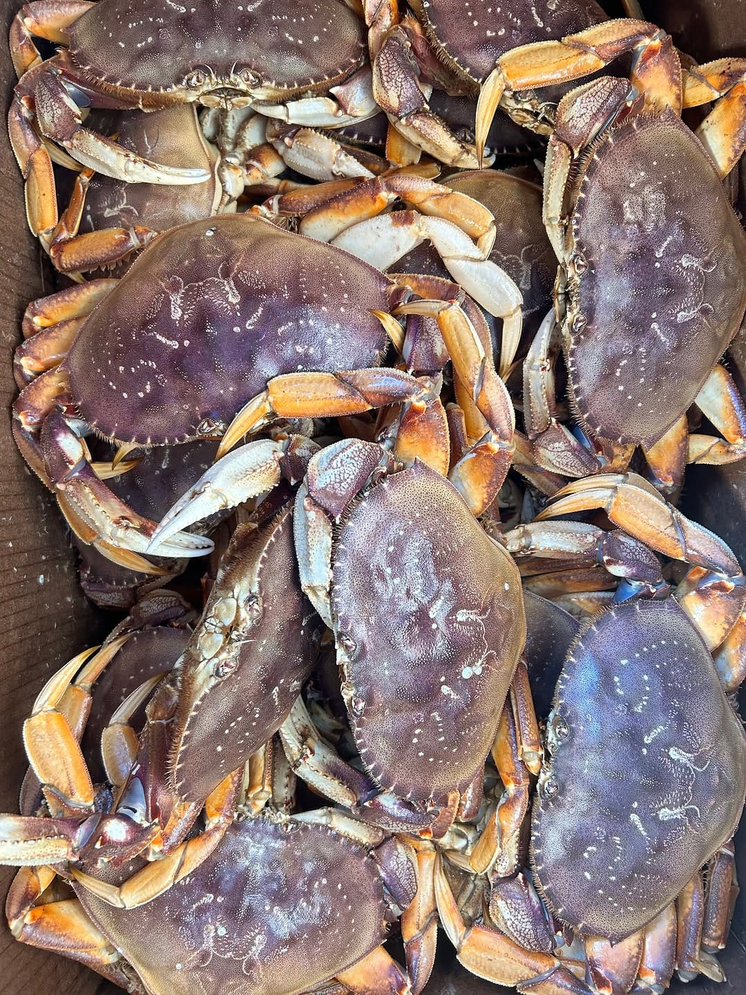 Post 6 by Sonoma Market on Instagram (image)