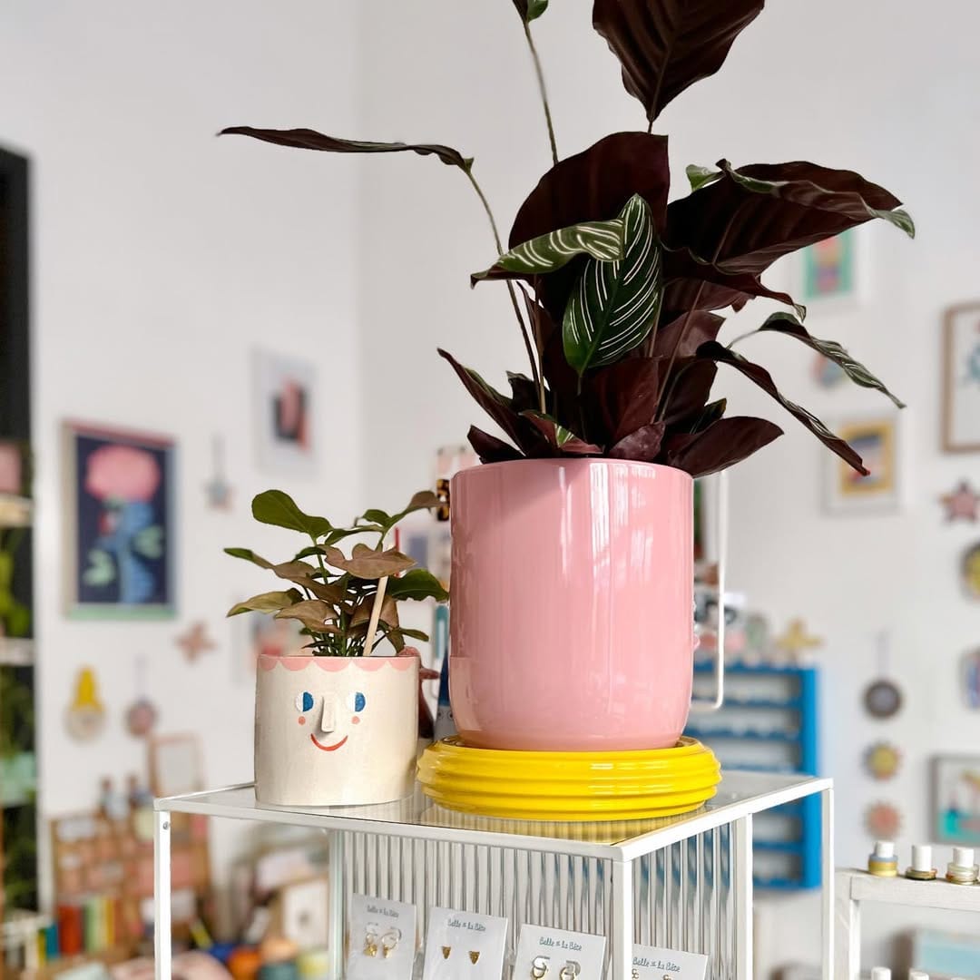 Post 2 by PANTA PANTA Store on Instagram (image)