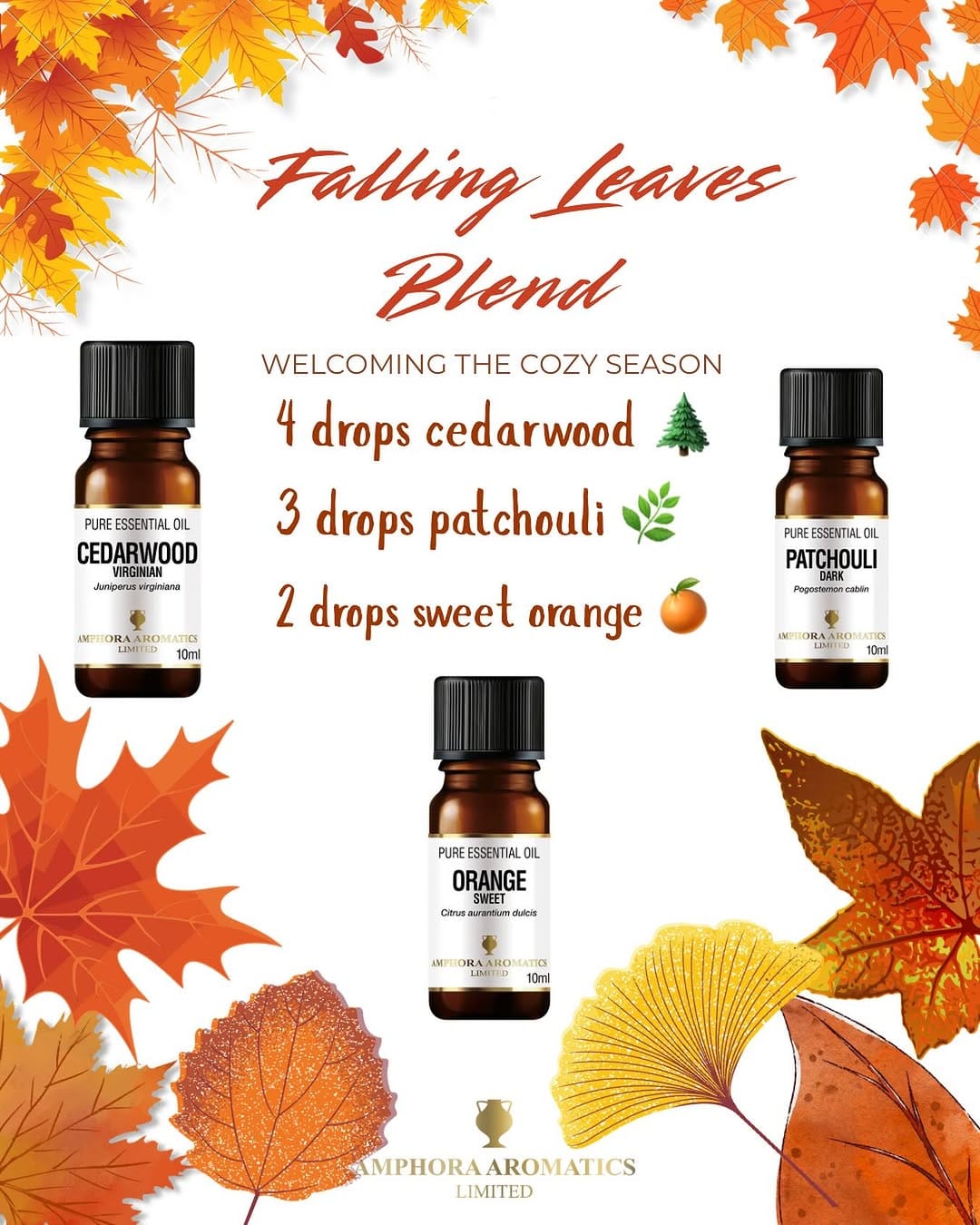 Post 8 by Amphora Aromatics on Instagram (image)