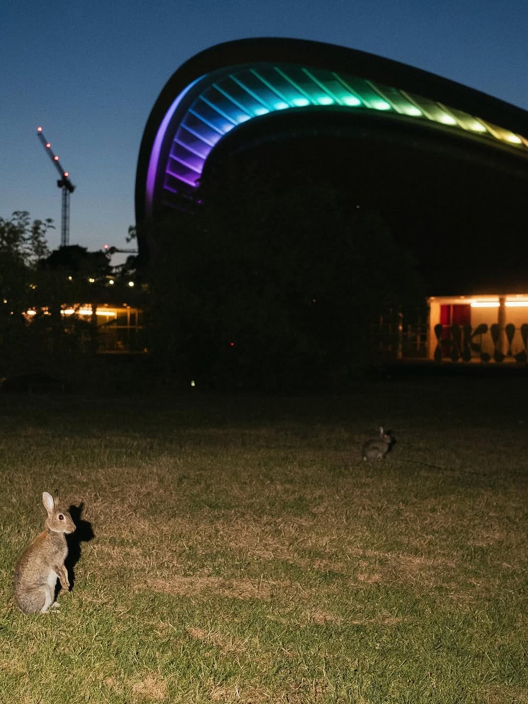 Post 10 by Haus der Kulturen der Welt on Instagram (carousel)