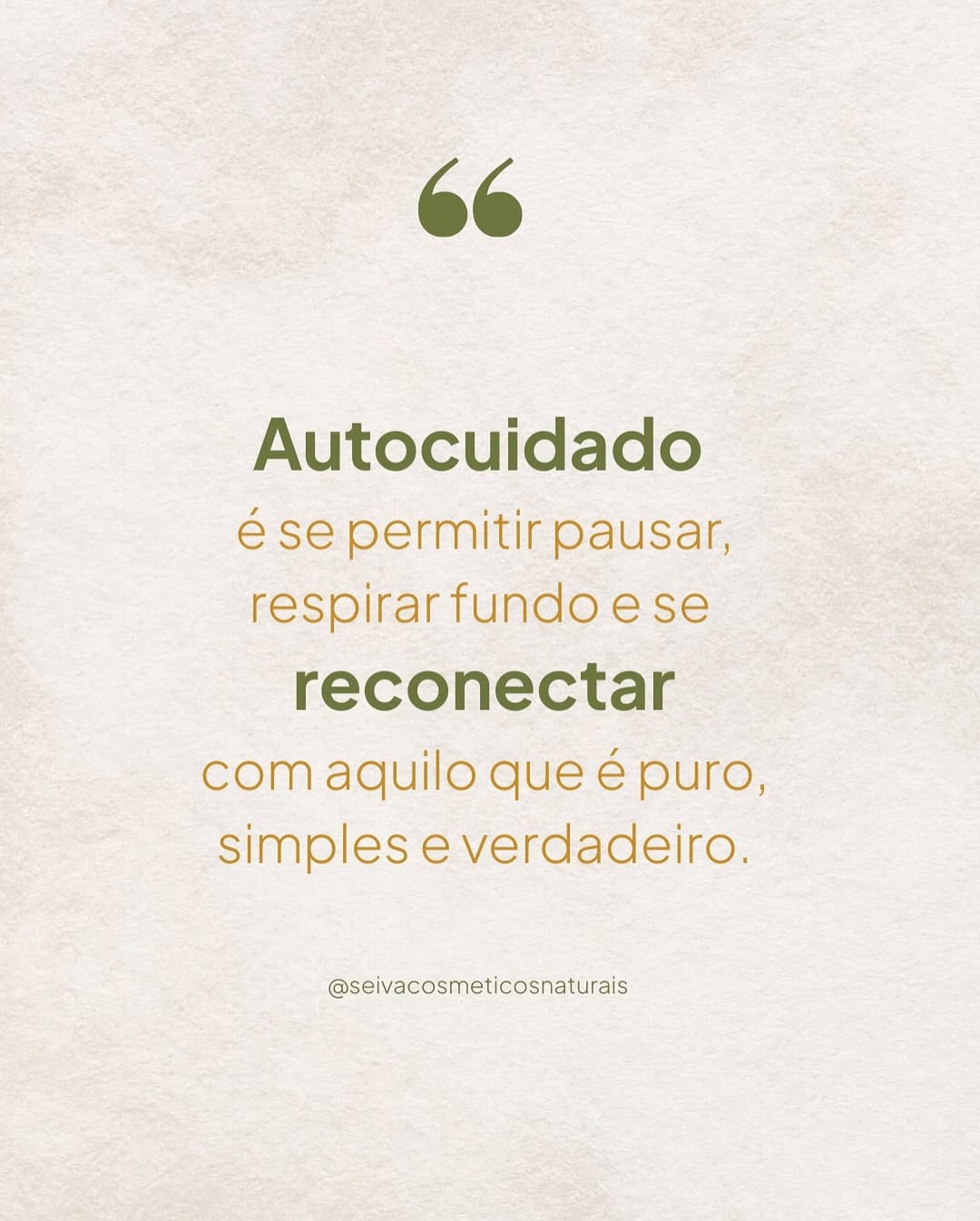 Post 8 by Seiva Cosméticos Naturais e Veganos on Instagram (image)