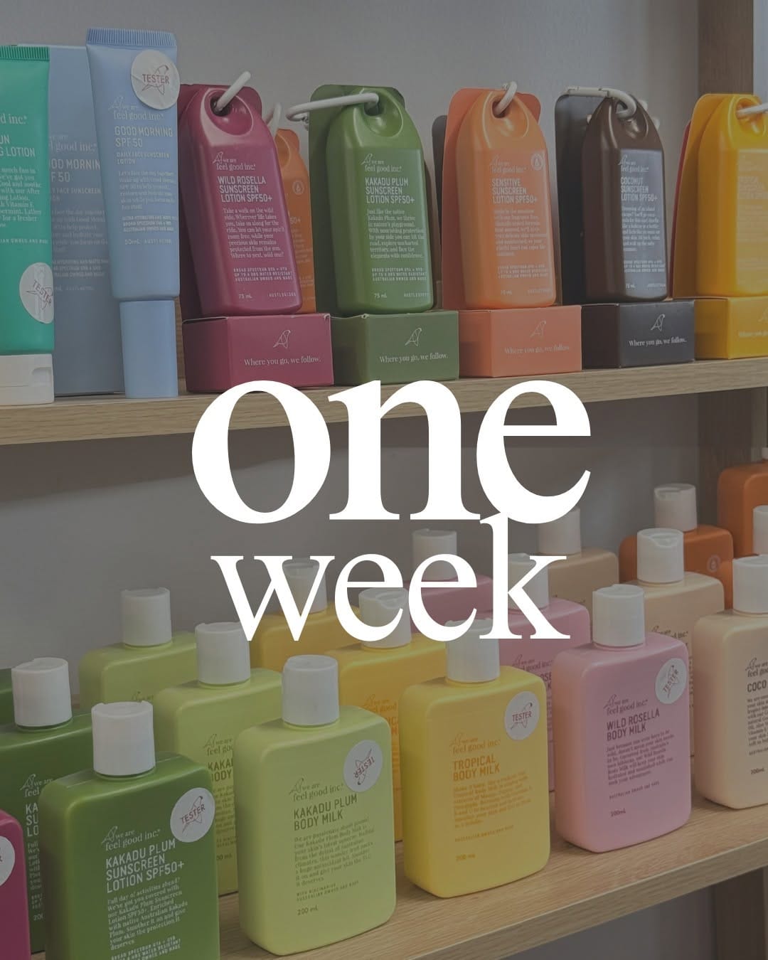 Post 10 by OFF & ON on Instagram (image)