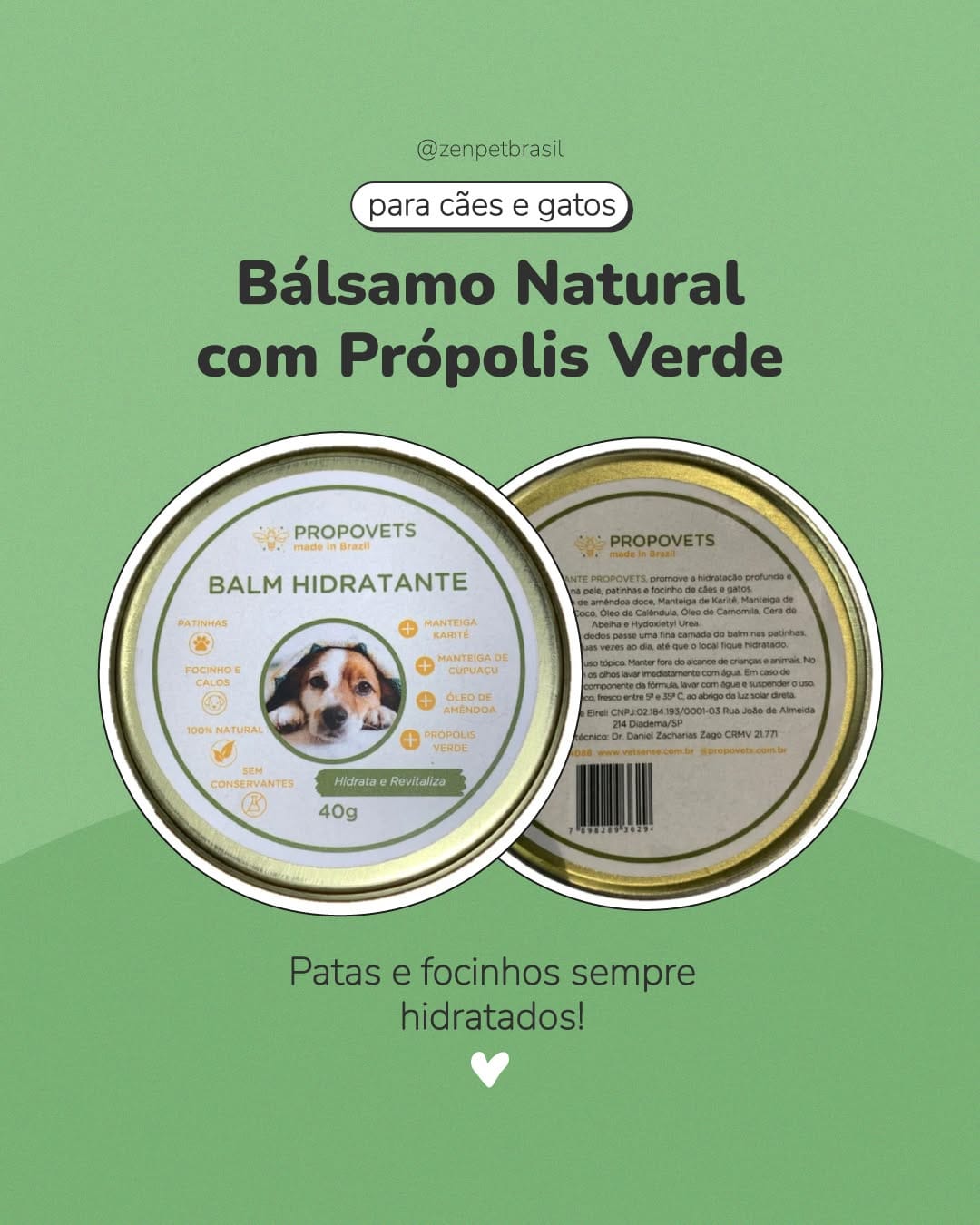 Post 4 by Zenpet | Pet Shop Online on Instagram (image)