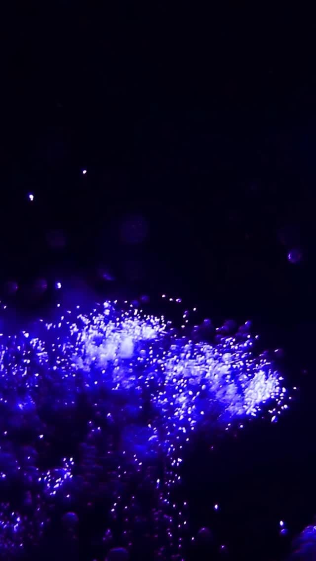 Post 8 by ABSOLUTE on Instagram (video)