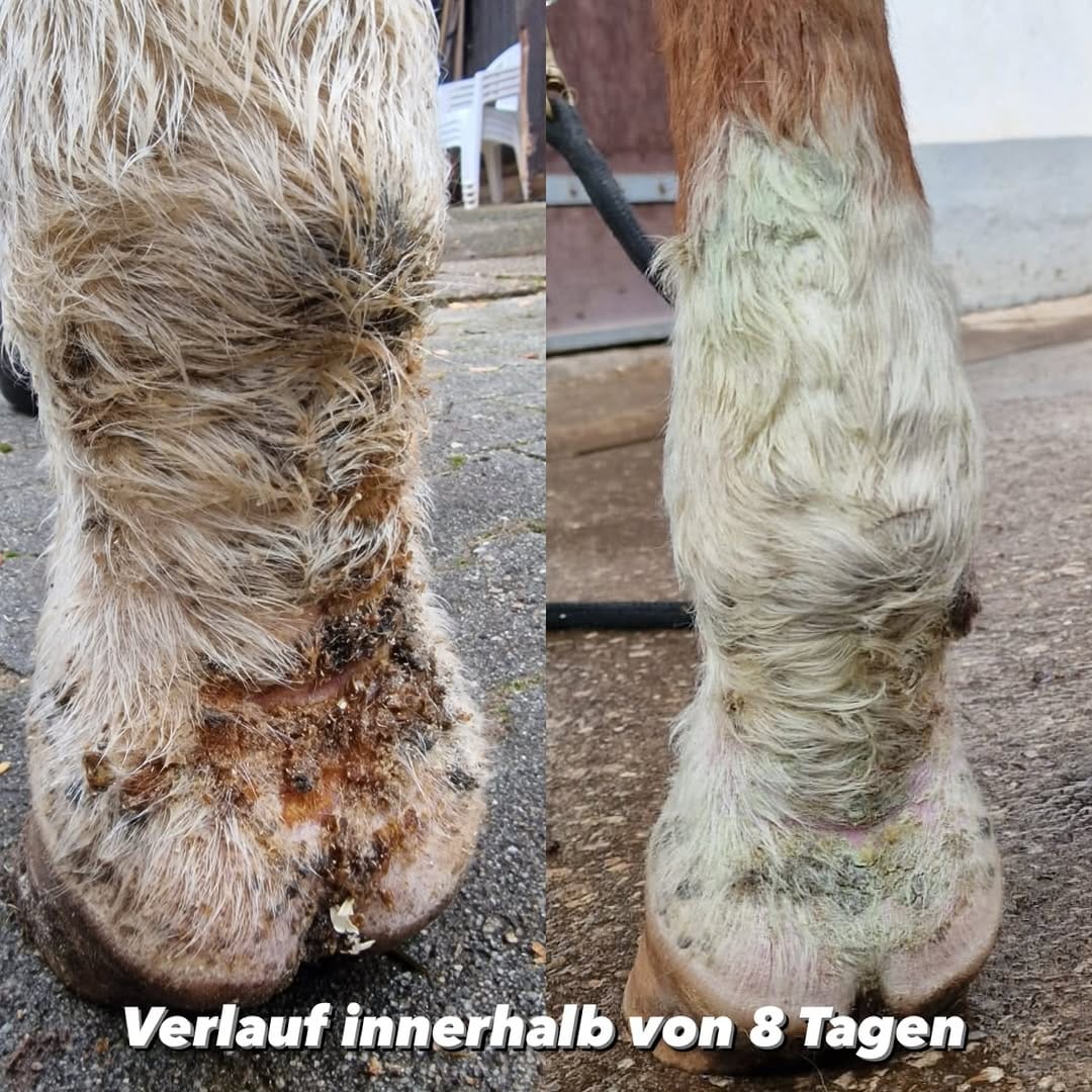 Post 8 by Schnurengurt Cordula - Das ORIGINAL on Instagram (carousel)