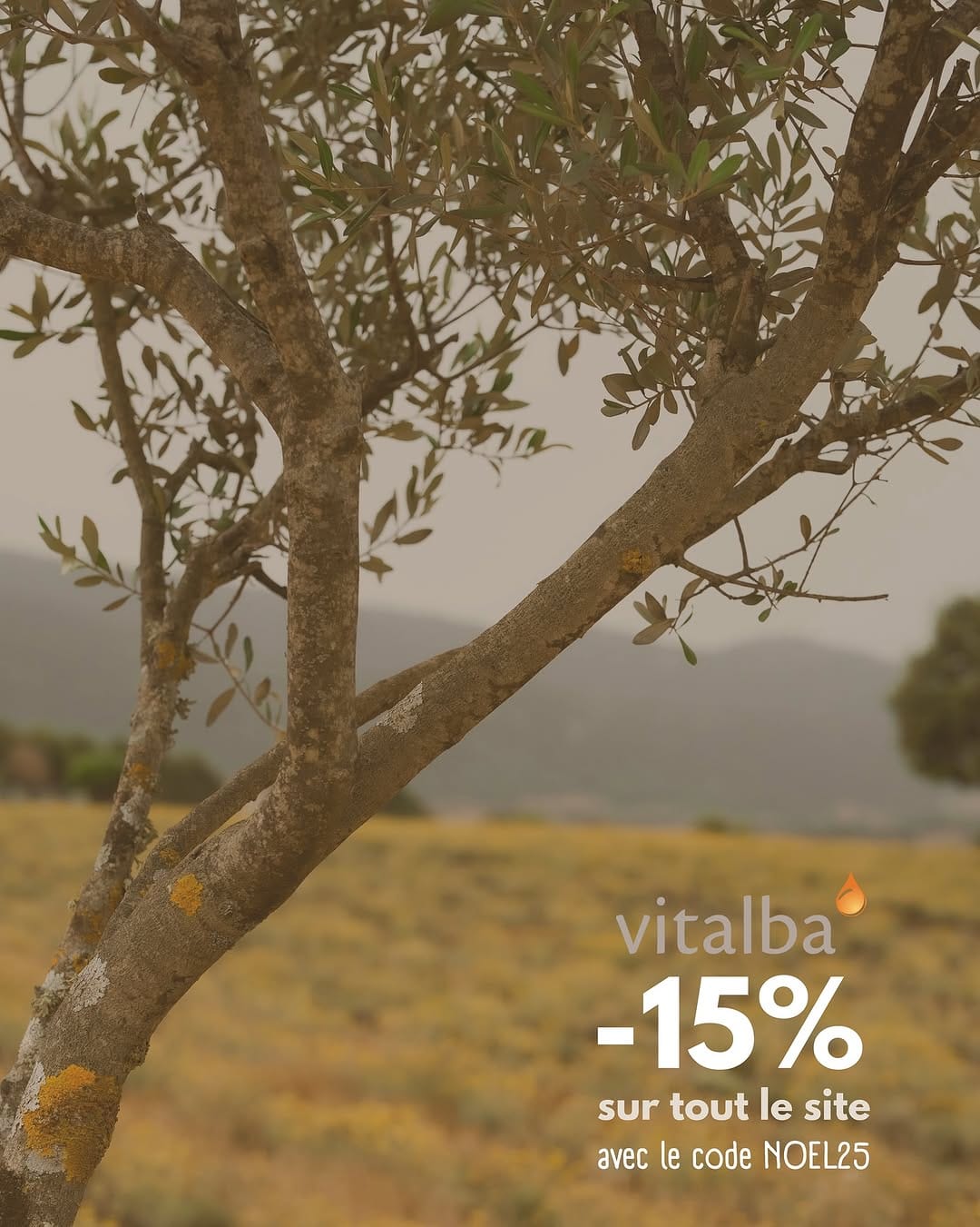 Post 5 by Vitalba 🌿 Huiles essentielles - Sartène on Instagram (image)