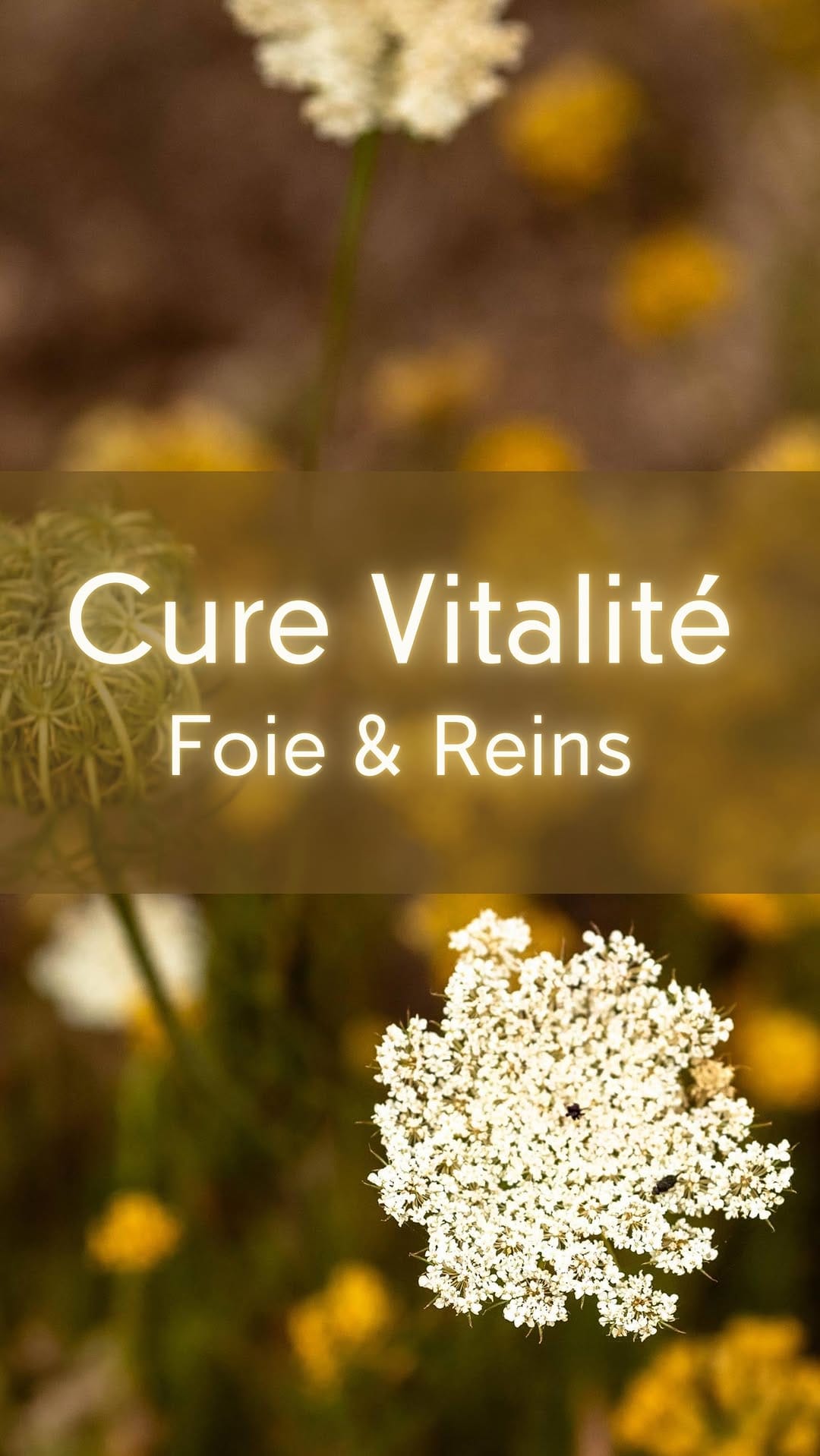 Post 10 by Vitalba 🌿 Huiles essentielles - Sartène on Instagram (video)