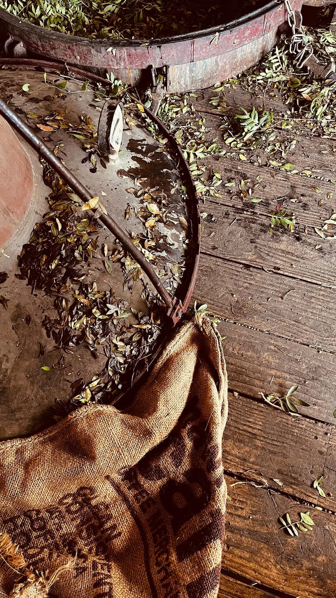 Post 4 by Vitalba 🌿 Huiles essentielles - Sartène on Instagram (video)