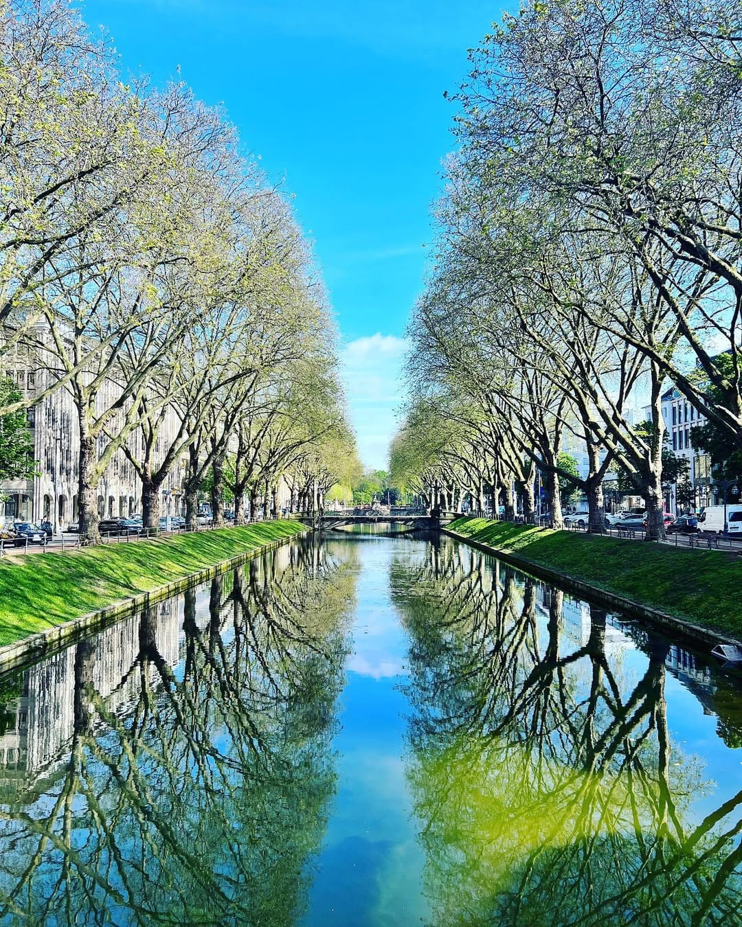 Post 10 by KÖNIGSALLEE Düsseldorf on Instagram (image)