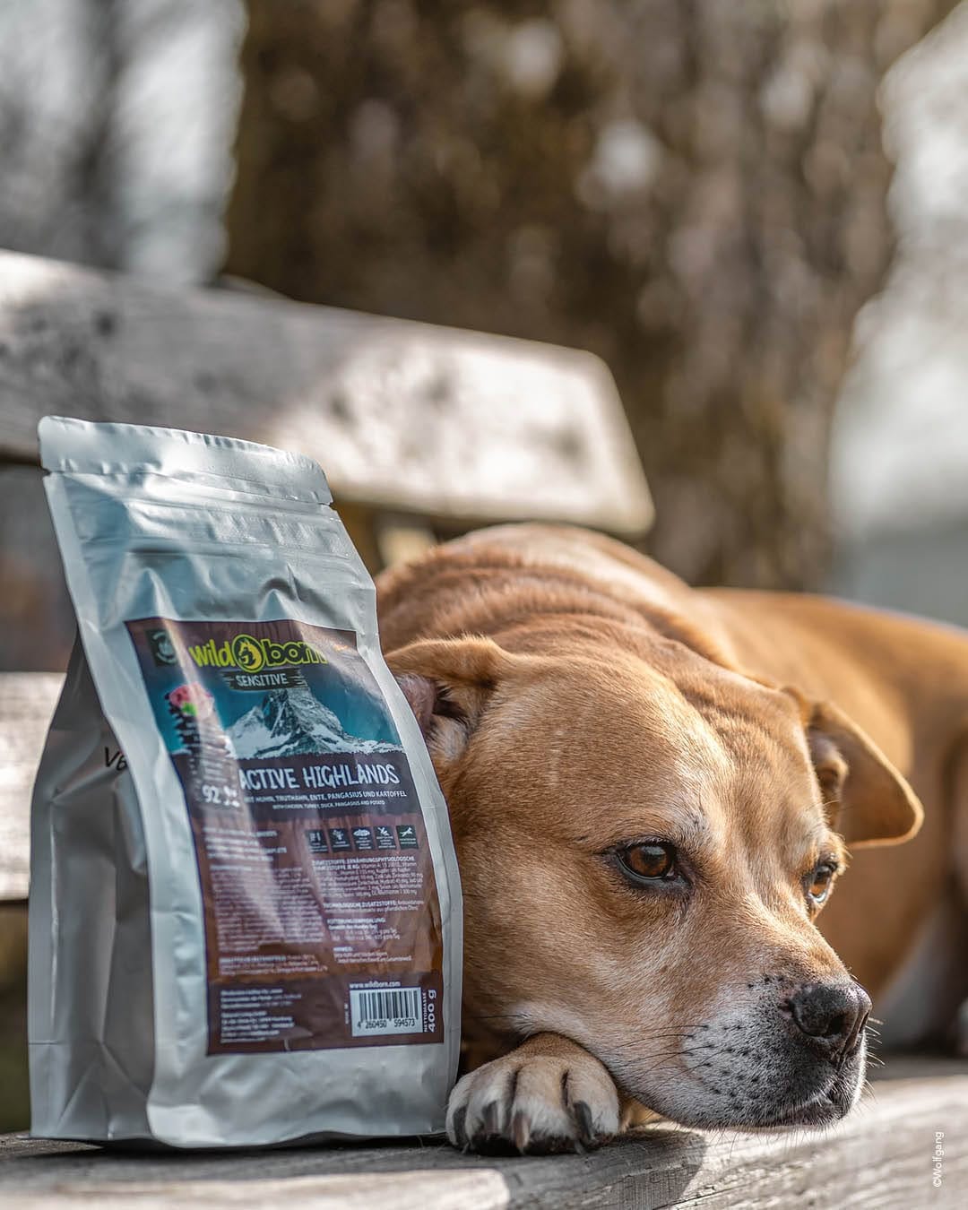 Post 7 by Wildborn Premium Hundefutter on Instagram (image)