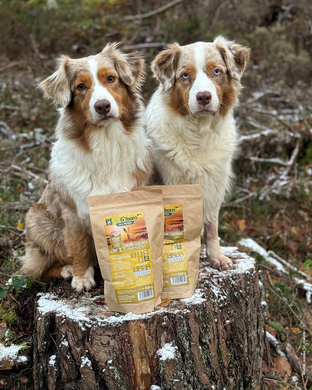Post 3 by Wildborn Premium Hundefutter on Instagram (carousel)