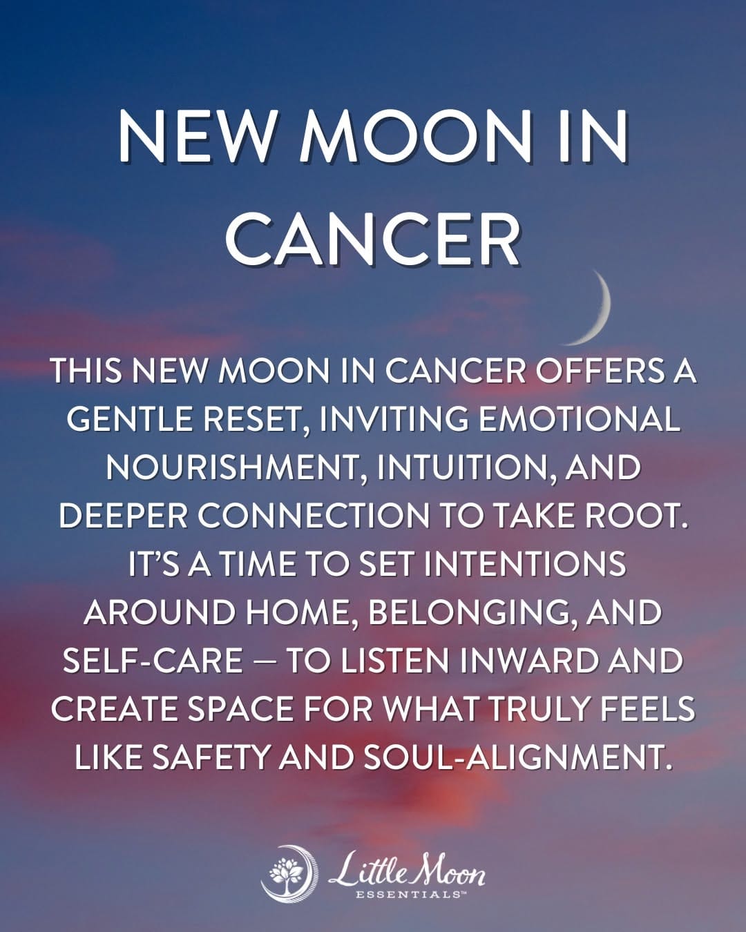 Post 8 by Little Moon Essentials | Natural Bath & Body Care on Instagram (image)