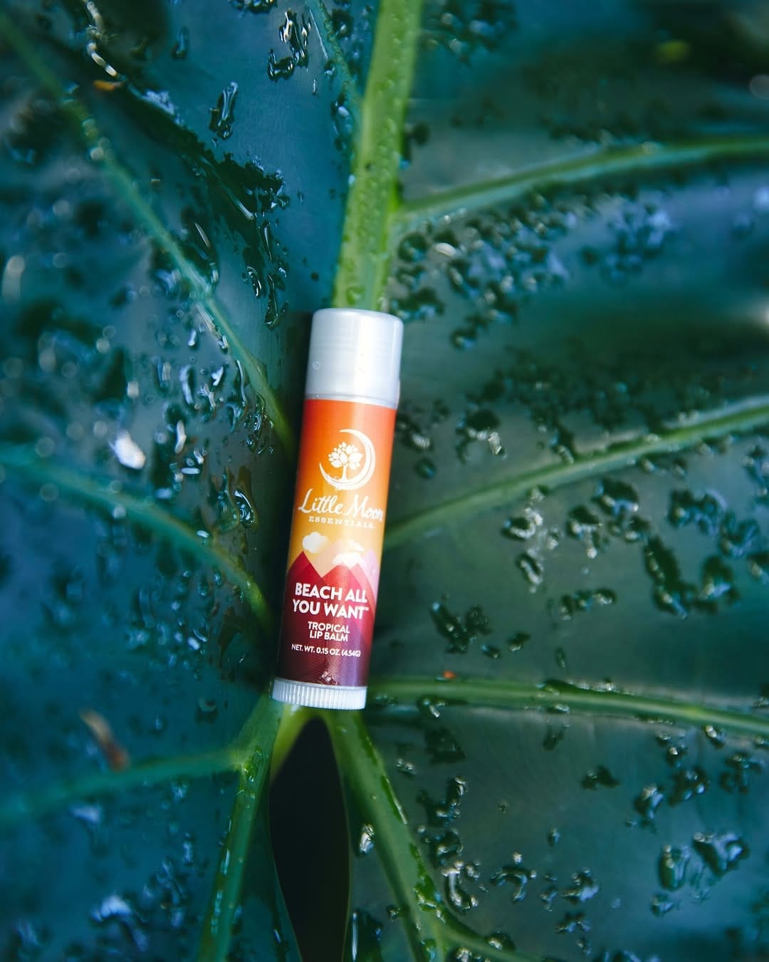 Post 2 by Little Moon Essentials | Natural Bath & Body Care on Instagram (image)