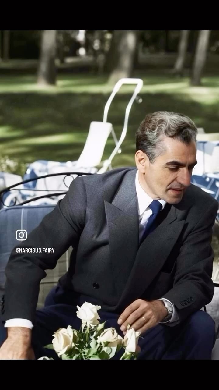 Post 8 by Sarvenaz Nasseri on Instagram (video)