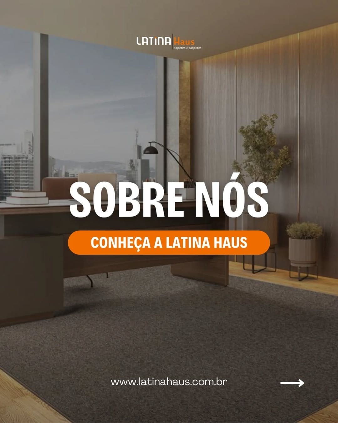 Post 10 by Latina Haus Tapetes Carpetes on Instagram (carousel)