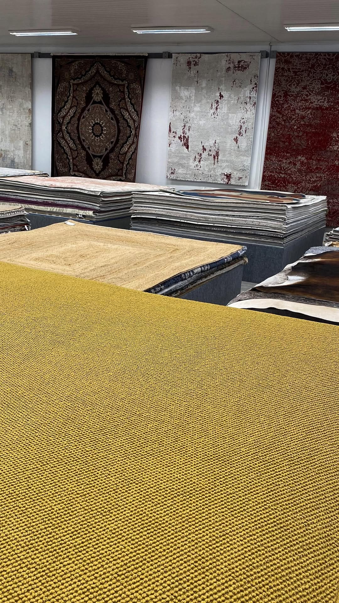 Post 4 by Latina Haus Tapetes Carpetes on Instagram (video)