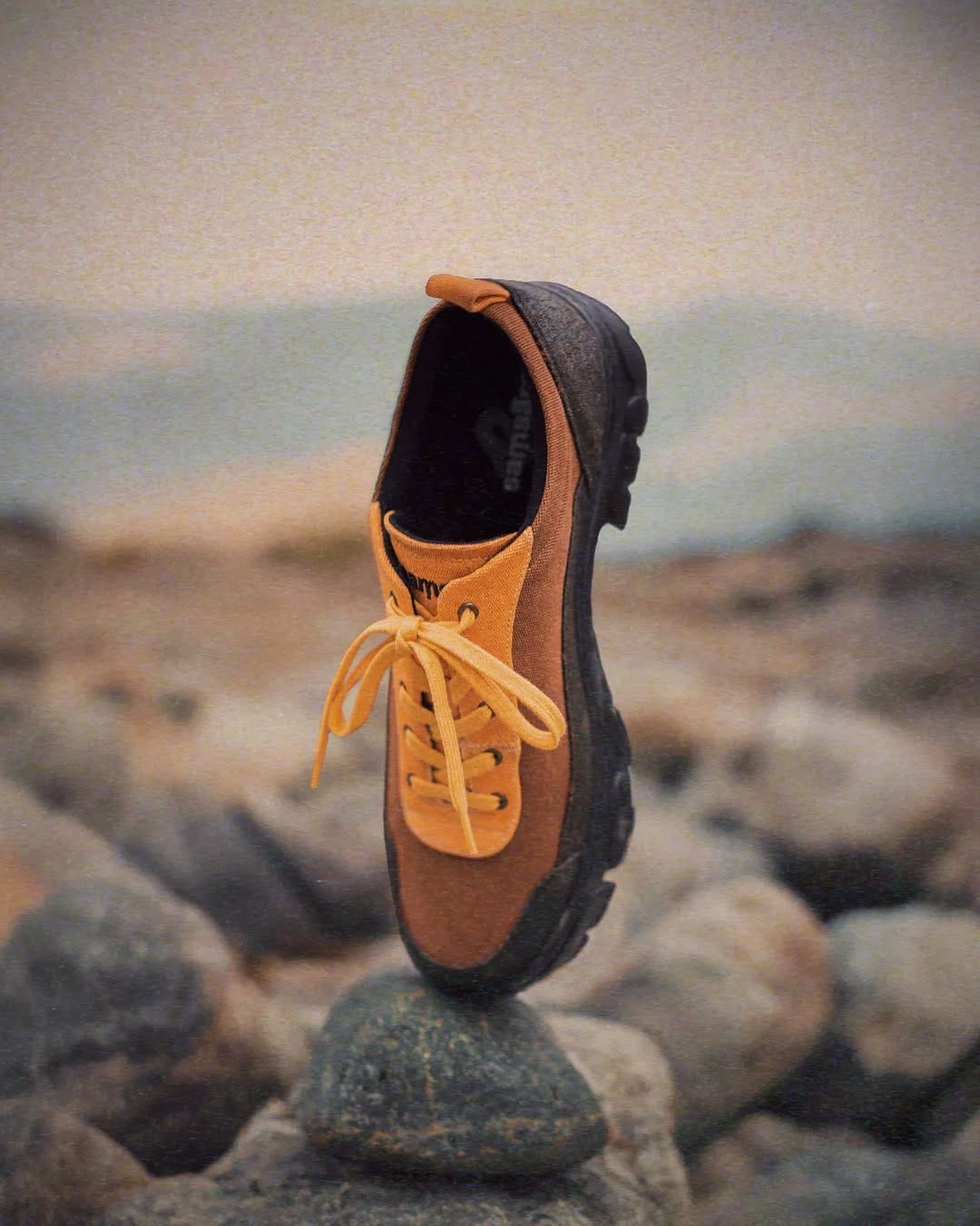 Post 4 by Park & Province on Instagram (image)